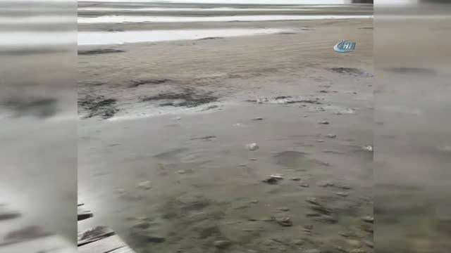 Eğirdir Gölü Kıyısında Korkutan Görüntü.