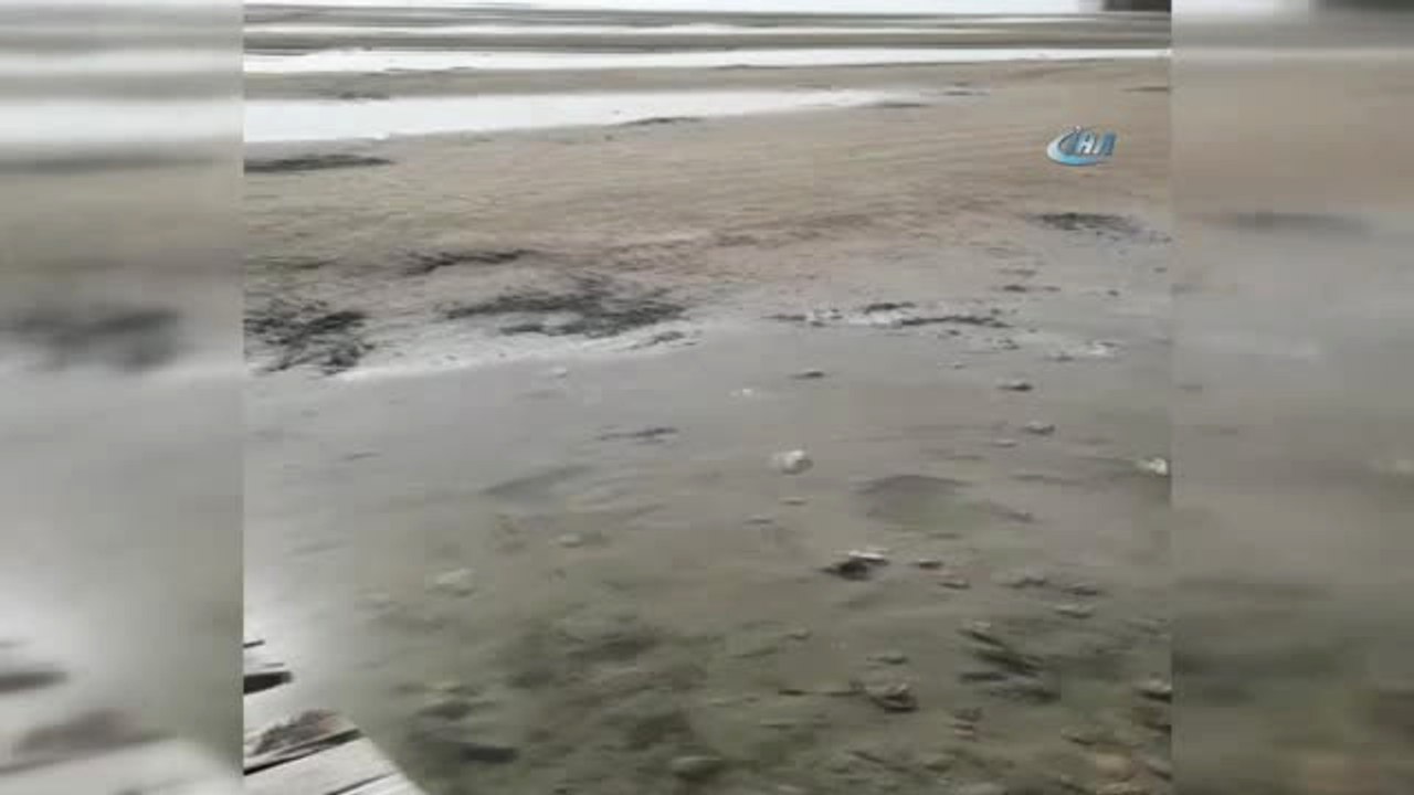 Eğirdir Gölü Kıyısında Korkutan Görüntü.