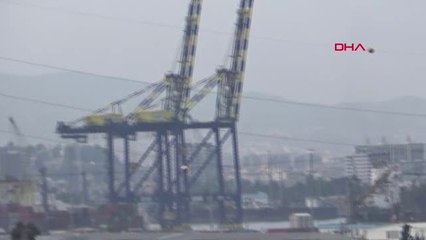 İskenderun Anguslar İskenderun Limanına İndiriliyor