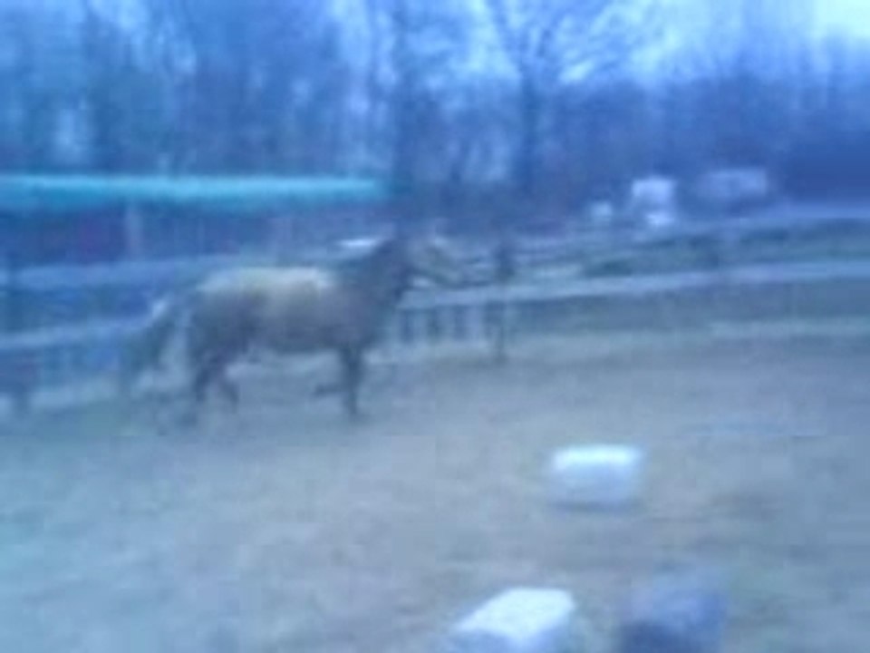 Fidji tape son delire !