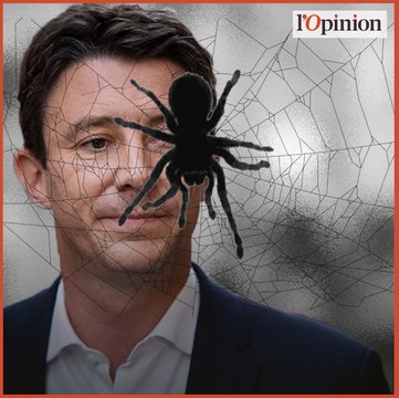 Municipales à Paris: Benjamin Griveaux piégé dans la toile de Cédric Villani?