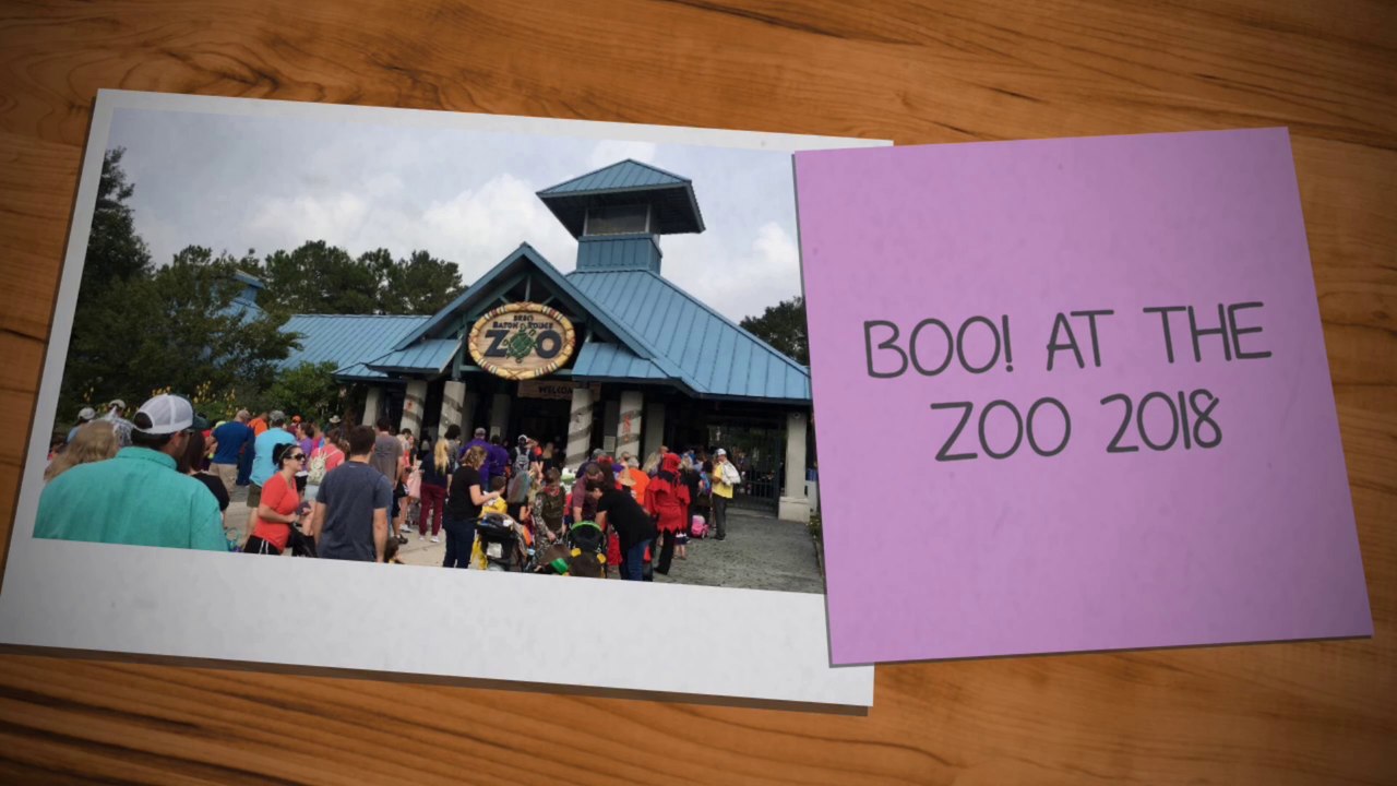 Boo at the Zoo 2018 at the BREC Baton Rouge Zoo