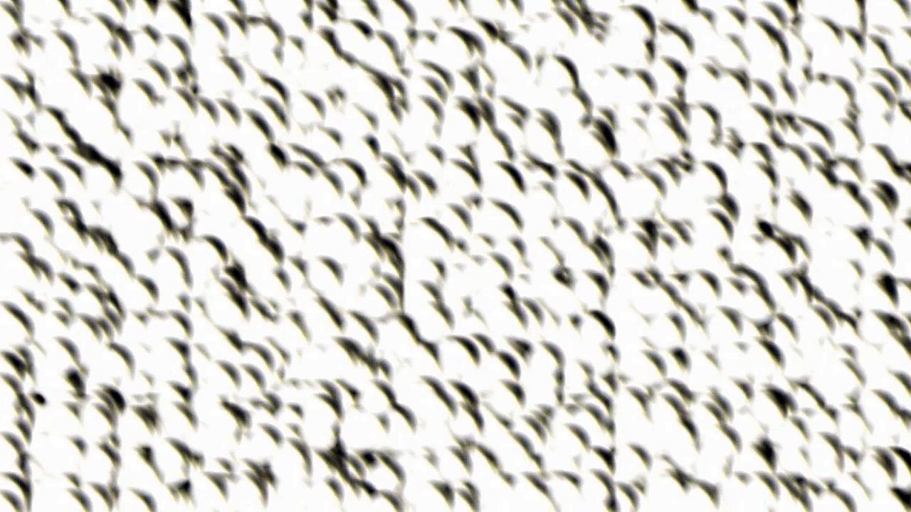 04101TrashRecPI  -  409 NEW CLIP /Ganzer Film/Complete Movie/Full Film