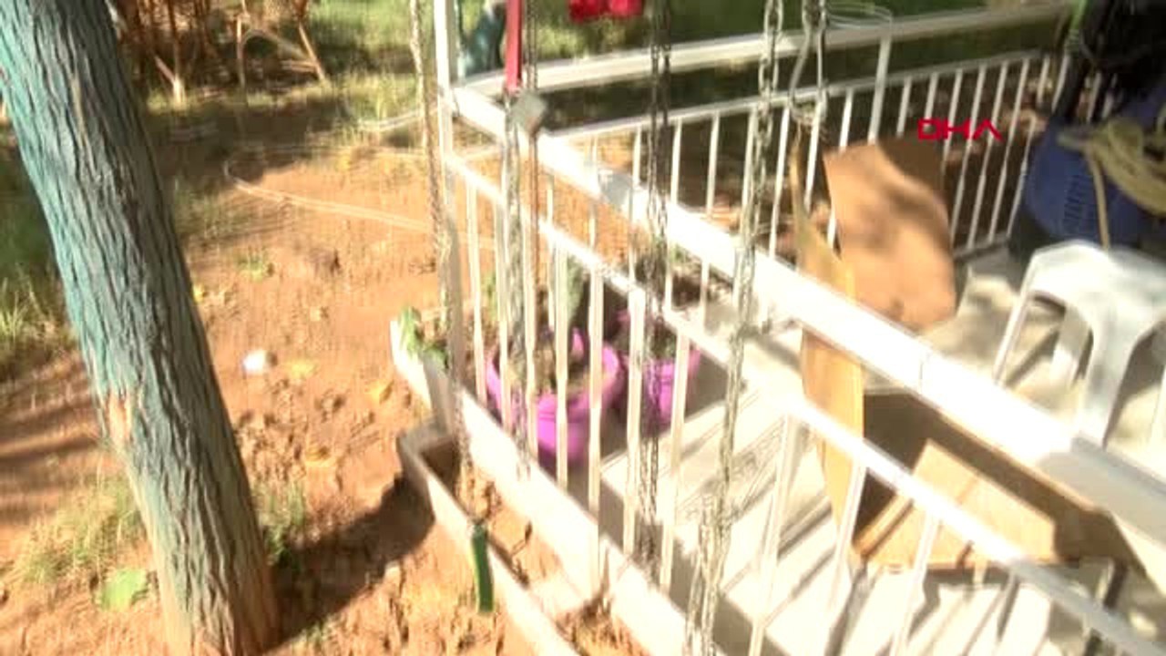 Antalya Köpeğimi Geri Versinler, Ölecekse Burada Ölsün'
