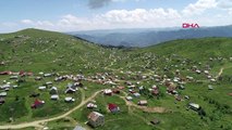 Trabzon Yer Kalmayan Yaylada, Kaçak Yapı Sahibi Herkes 'İmar Barışı'na Başvurdu
