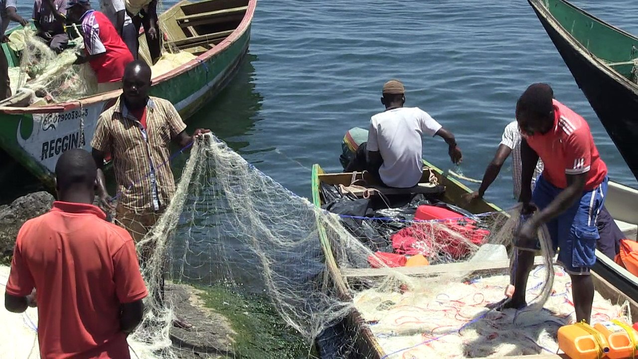Migingo Island: a rocky marriage between Uganda and Kenya