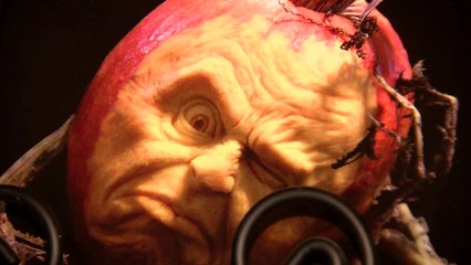 Check out the Enchanted Pumpkin Garden!