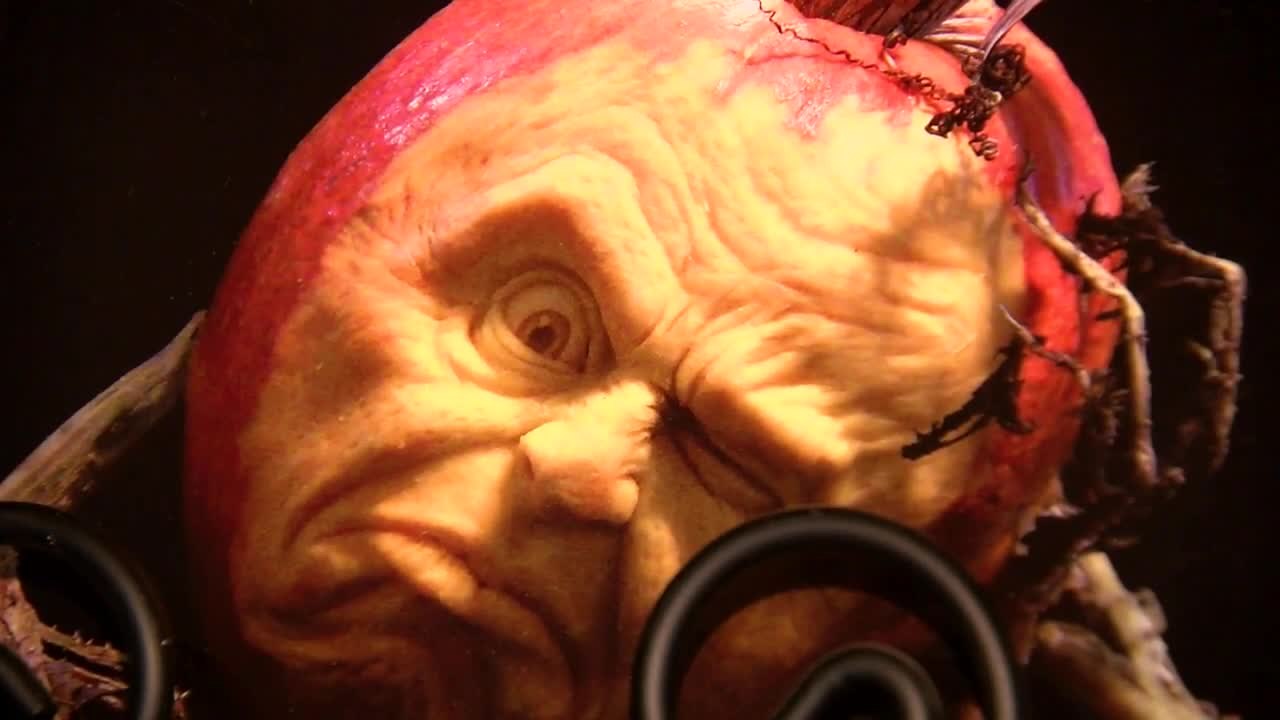 Check out the Enchanted Pumpkin Garden!