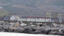 Anguslar İskenderun Limanı'ndan Tahliye Ediliyor