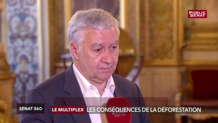 Disparition des grands singes : « On est en bordure du précipice » pour Ronan Dantec