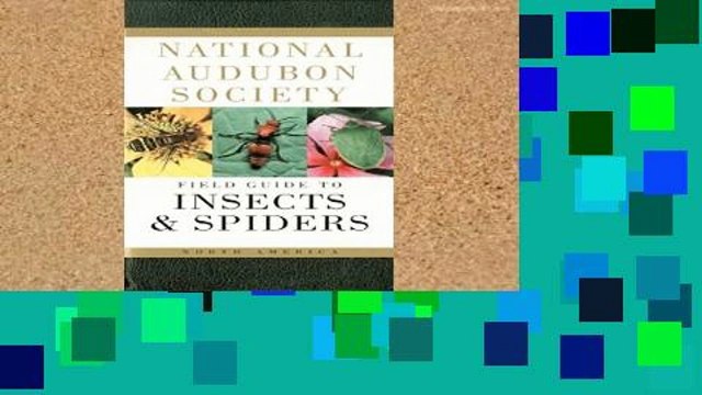Best product The Audubon Society Field Guide to North American Insects and Spiders (A Borzoi Book)