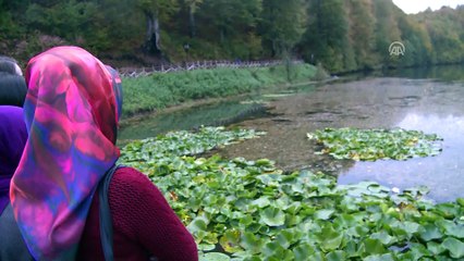 Ulugöl'de sonbahar rengarenk - ORDU