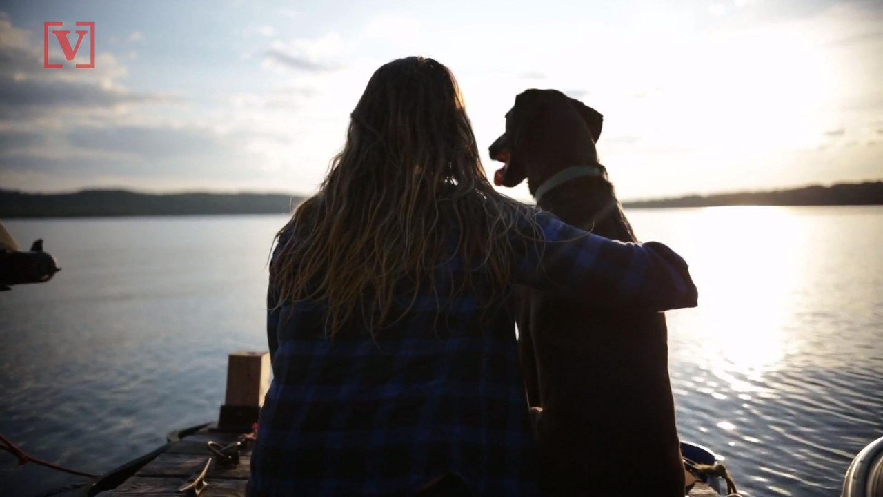 Study: Here's Why Chocolate Labs Die Earlier Than Other Labs