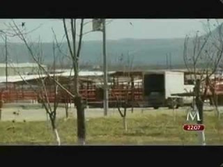 El sacrificio de caballos, una industria con claroscuros