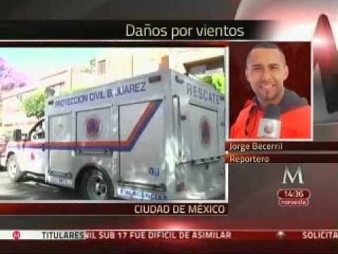 Fuertes vientos derrumban árboles en el DF