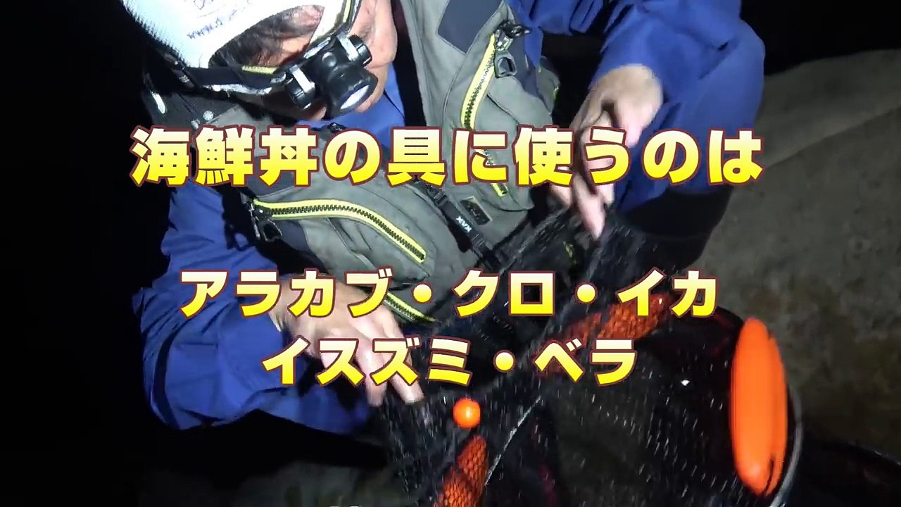 おっさん二人で無人島生活やってみた‼#2