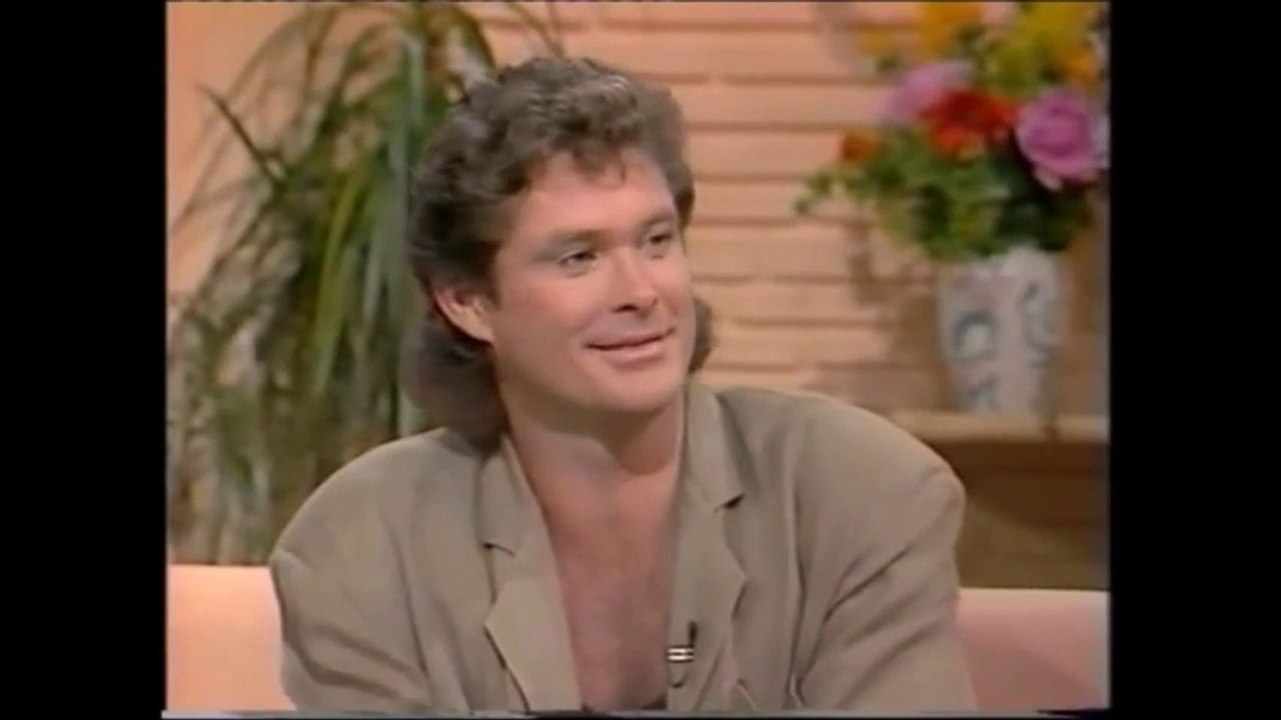 David Hasselhoff Not a Day Goes By