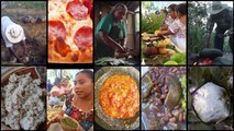 La Dieta Mesoamericana: Orígenes