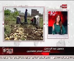 نقيب الفلاحين: كبار المحتكرين وراء ارتفاع سعر البطاطس فى مصر