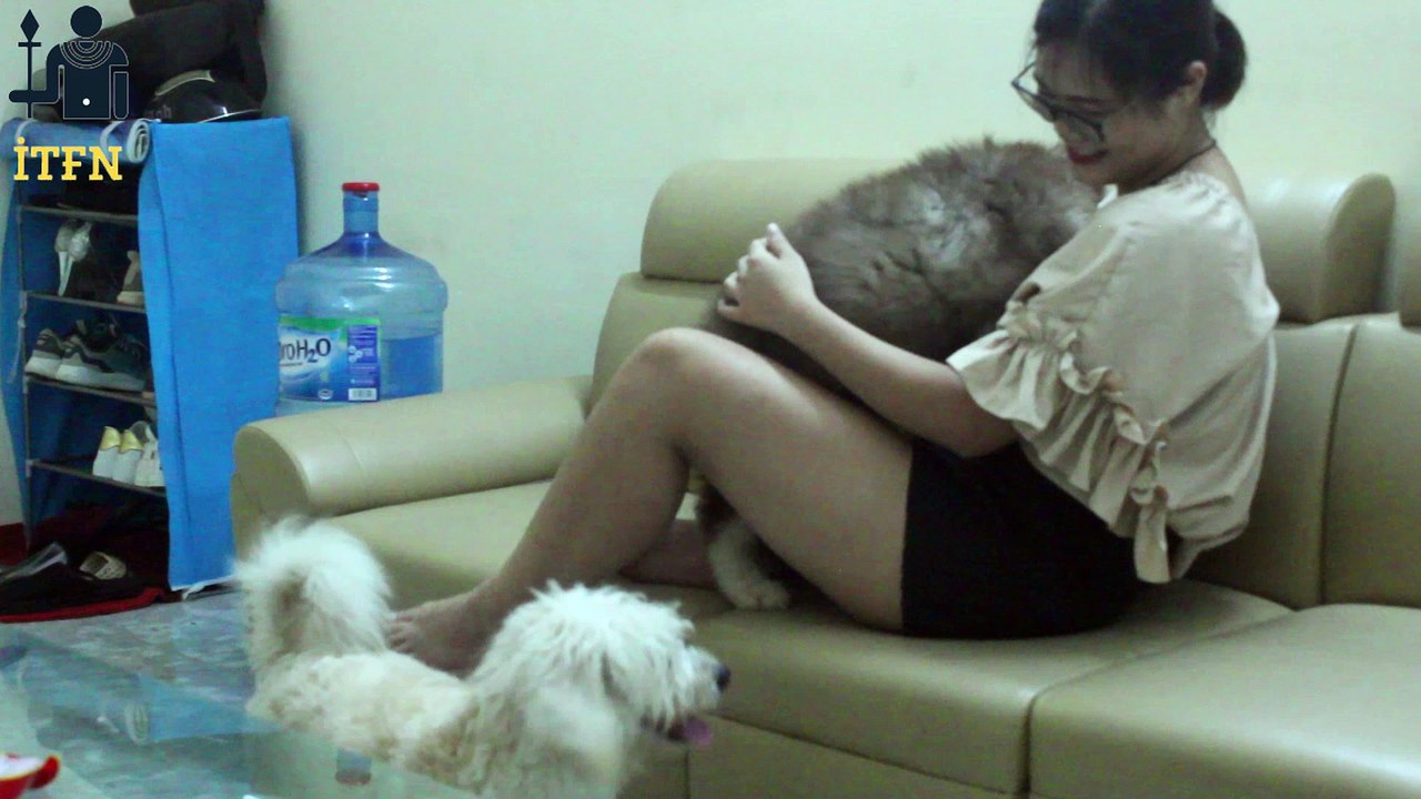 [SUPER] Lovely Smart Girl Playing Baby Cute Group Dogs | How To Play With Puppy Dog & Pet | ITFN