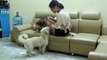 [SUPER] Lovely Smart Girl Playing Baby Cute Group Dogs | How To Play With Puppy Dog & Pet | ITFN