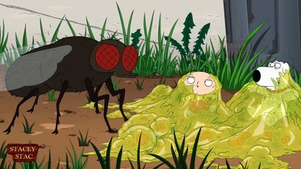 Shrinking Machine S17! (No Cut) Try Not To Laugh Challenge