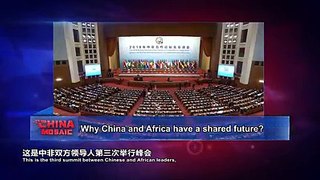 Why China and Africa have a shared future? #VideofromChina #ChinaMosaic