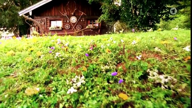 Vorspann zur 15. Staffel | Sturm der Liebe