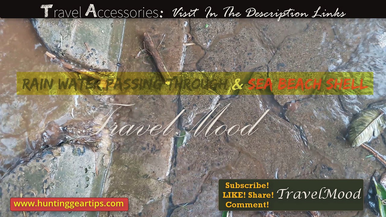 Rain Water Passing Through and Sea beach Shell