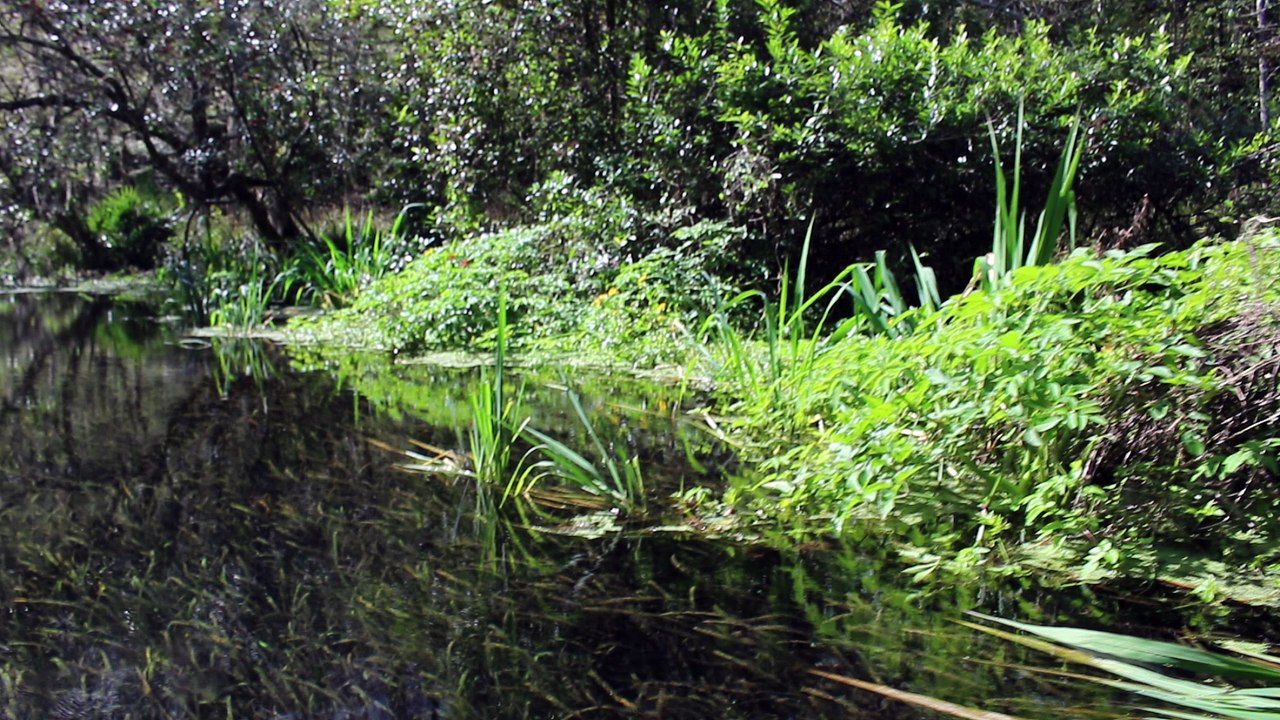 Daytona Beach 2018, jour 15 : Ichetucknee Springs State Park.