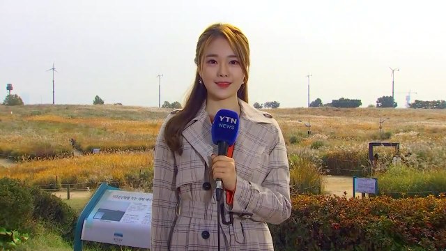 [날씨] 가을비 뒤 중국발 스모그...중서부 미세먼지 / YTN