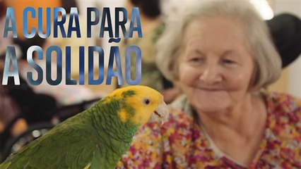 Terapia animal: A cura para a solidão