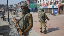 Huelga y restricciones tras la muerte de siete civiles en la Cachemira india