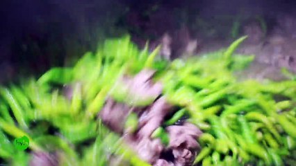 CAPITAL Haleem Making complete Process | Ramadan Special Food Haleem