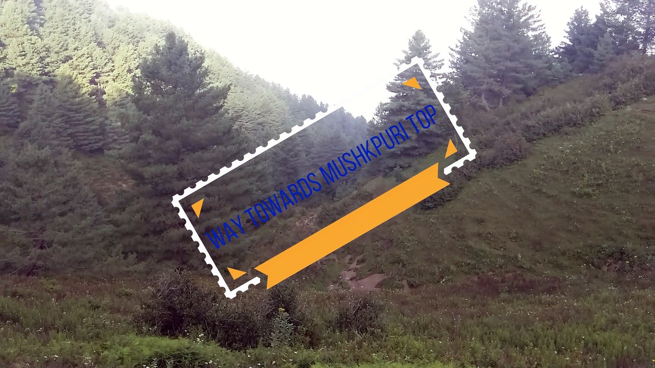 WAY TOWARDS MUSHKPURI TOP