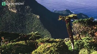 Scientists Discovered A Skin-Crawling Secret That This Strange Island Had Concealed For 80 Years