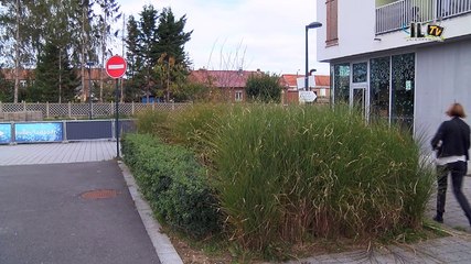 Deux expos vous attendent à l'Atelier Média de Carvin !