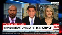 Alice Stewart & Van Jones speaking on Donald Trump slams Stormy Daniels on Twitter as 