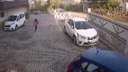 Anneyle Kızına Sokak Köpekleri Saldırdı