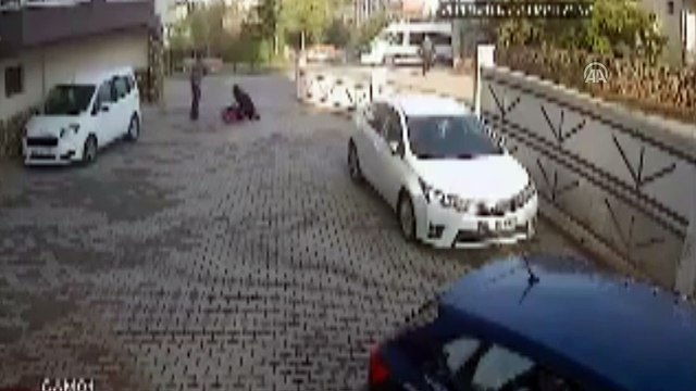 Anneyle kızına sokak köpekleri saldırdı - KIRŞEHİR