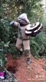 Un Japonais tente de détruire un nid de frelons géants dans un costume et ça termine mal