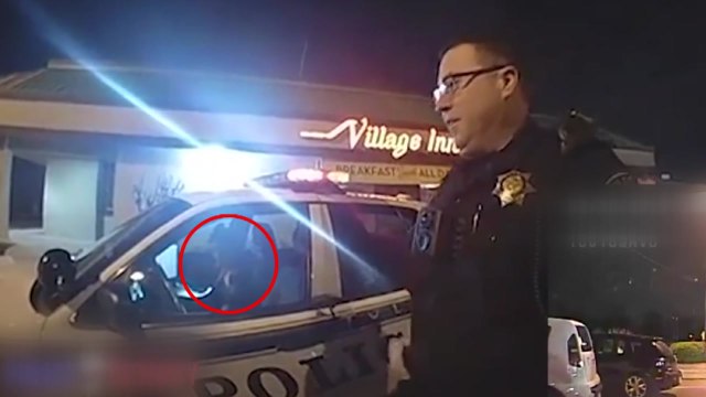 도난 차량 운전자, 경찰차까지 도난 시도 / YTN