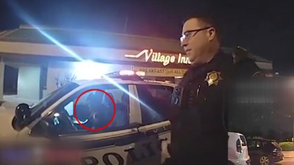 도난 차량 운전자, 경찰차까지 도난 시도 / YTN