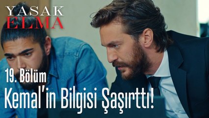 Kemal'in bilgisi Halit'i şaşırttı - Yasak Elma 19. Bölüm