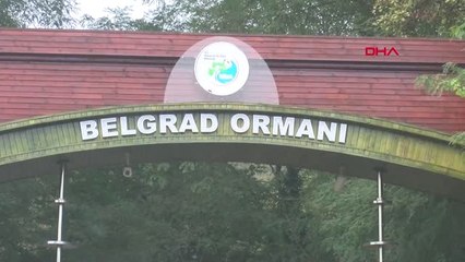 Belgrad Ormanı'ndan Görüntüler