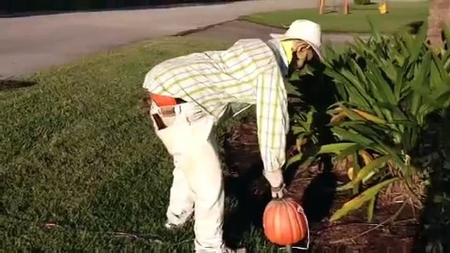 Le Pumpkin butt, la nouvelle tendance instagram 2018
