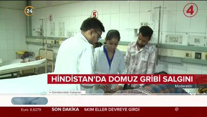 Hindistan'da domuz gribi salgını