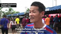 Buffaloes plough through annual Thai racing festival