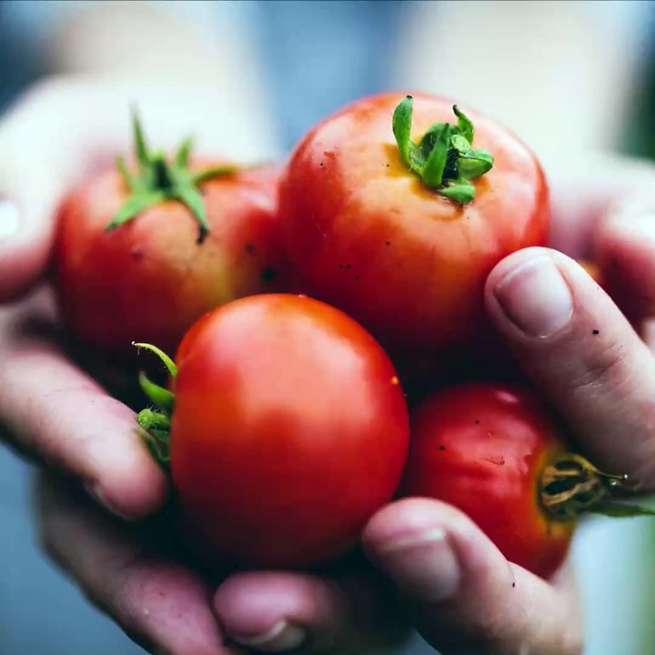 Producteurs d'Alsace : Philippe Scheer des Jardins de l'Ungersberg