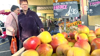 Reportage - La brigade de contrôle des champignons, c'est elle !